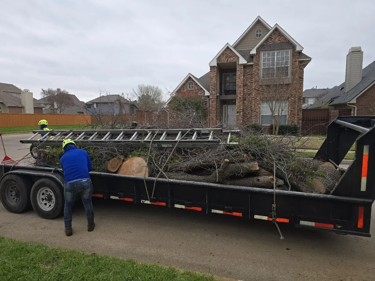 Expert Tree Fertilization with proper safety equipment in Biddeford